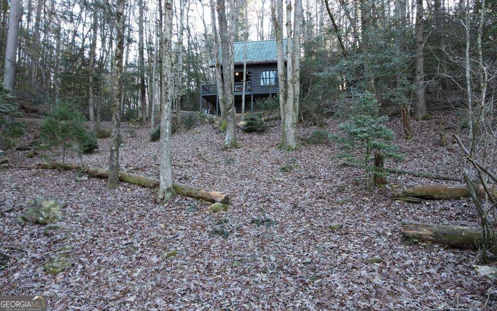 226 Pinetree Drive Blue Ridge - 2
