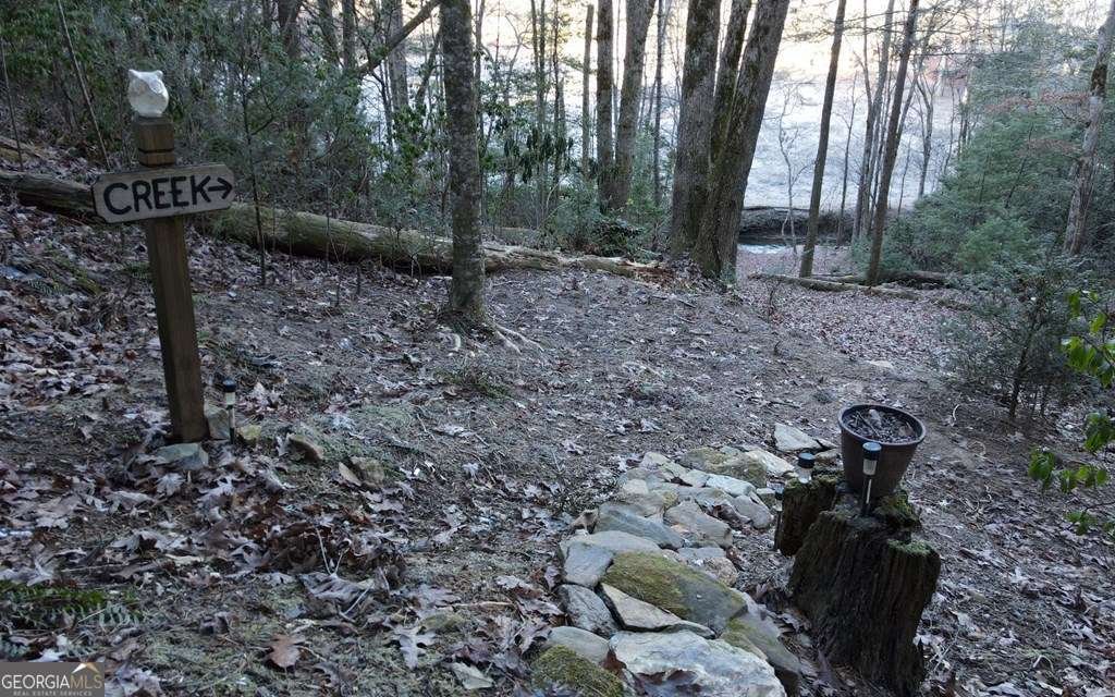 226 Pinetree Drive Blue Ridge - 20