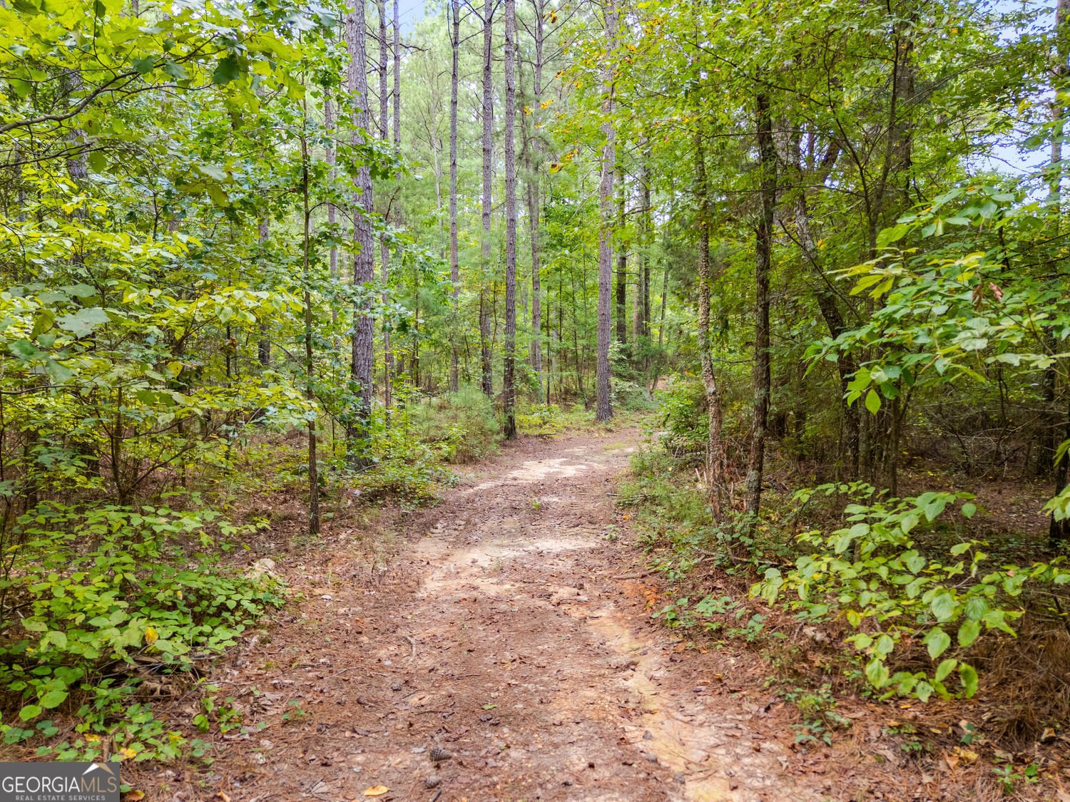 291 Kelly Road Cedartown - 21
