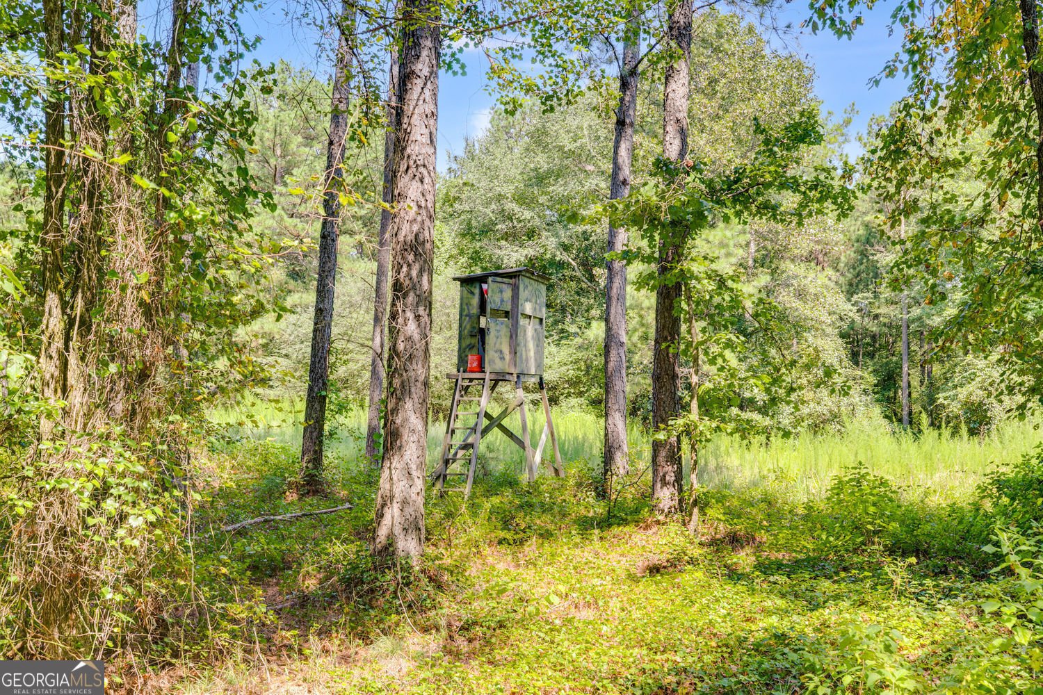 291 Kelly Road Cedartown - 22