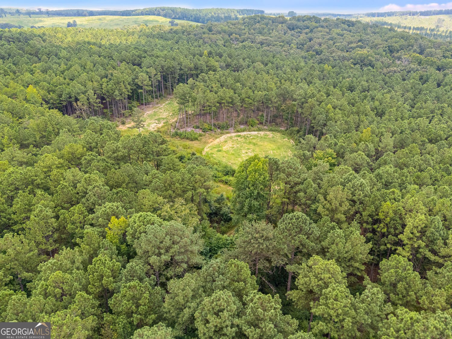 291 Kelly Road Cedartown - 23
