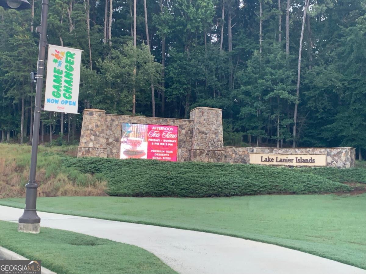 2990 Pass Drive Buford - 11