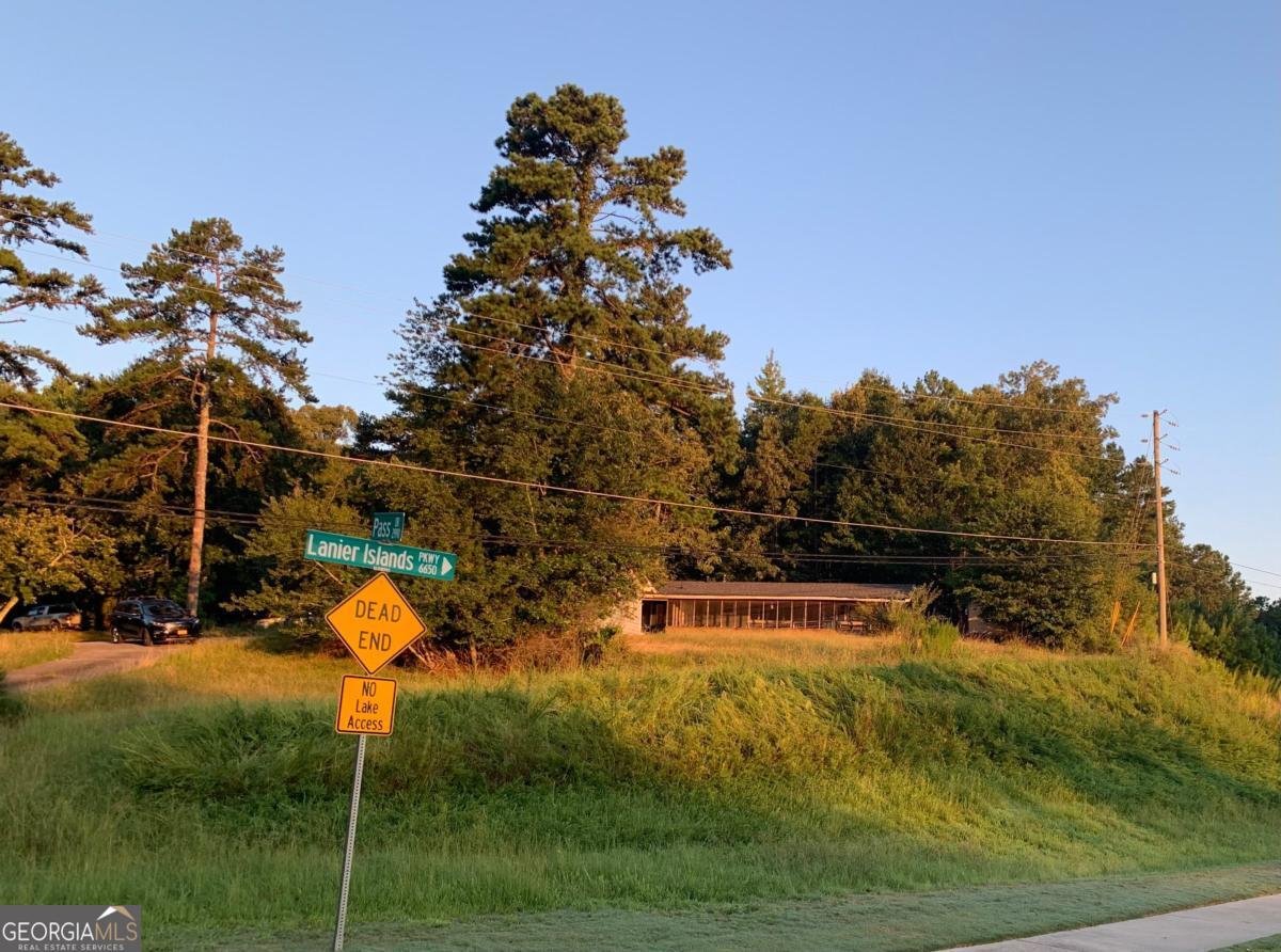 2990 Pass Drive Buford - 12