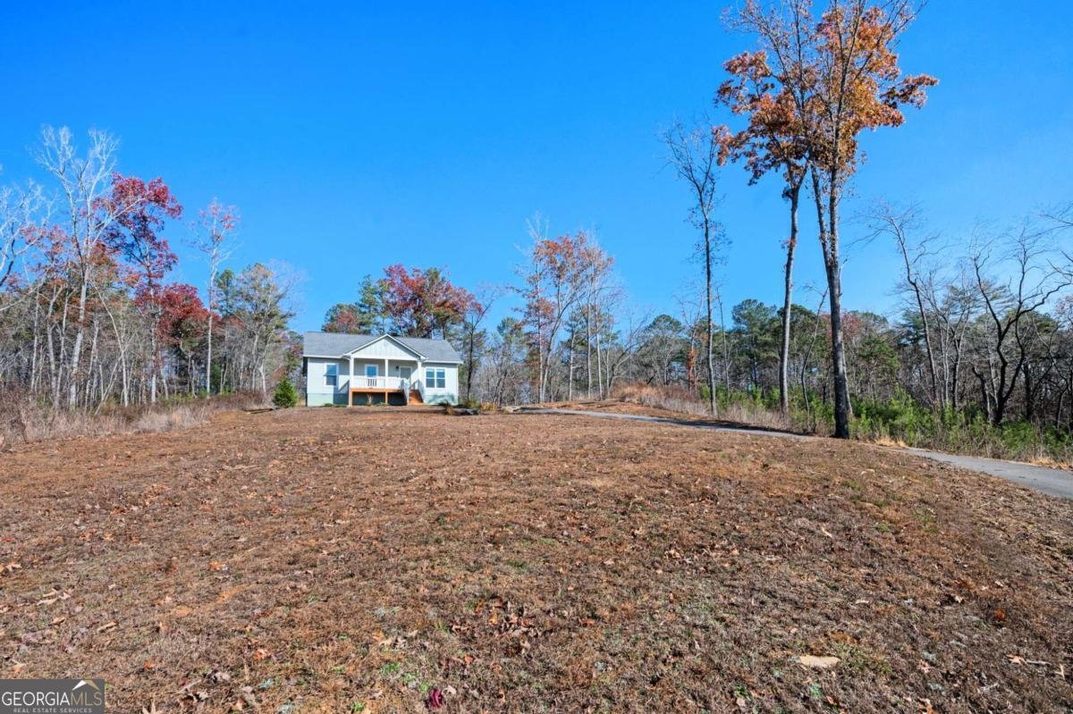 307 Canoe Point Ellijay - 25