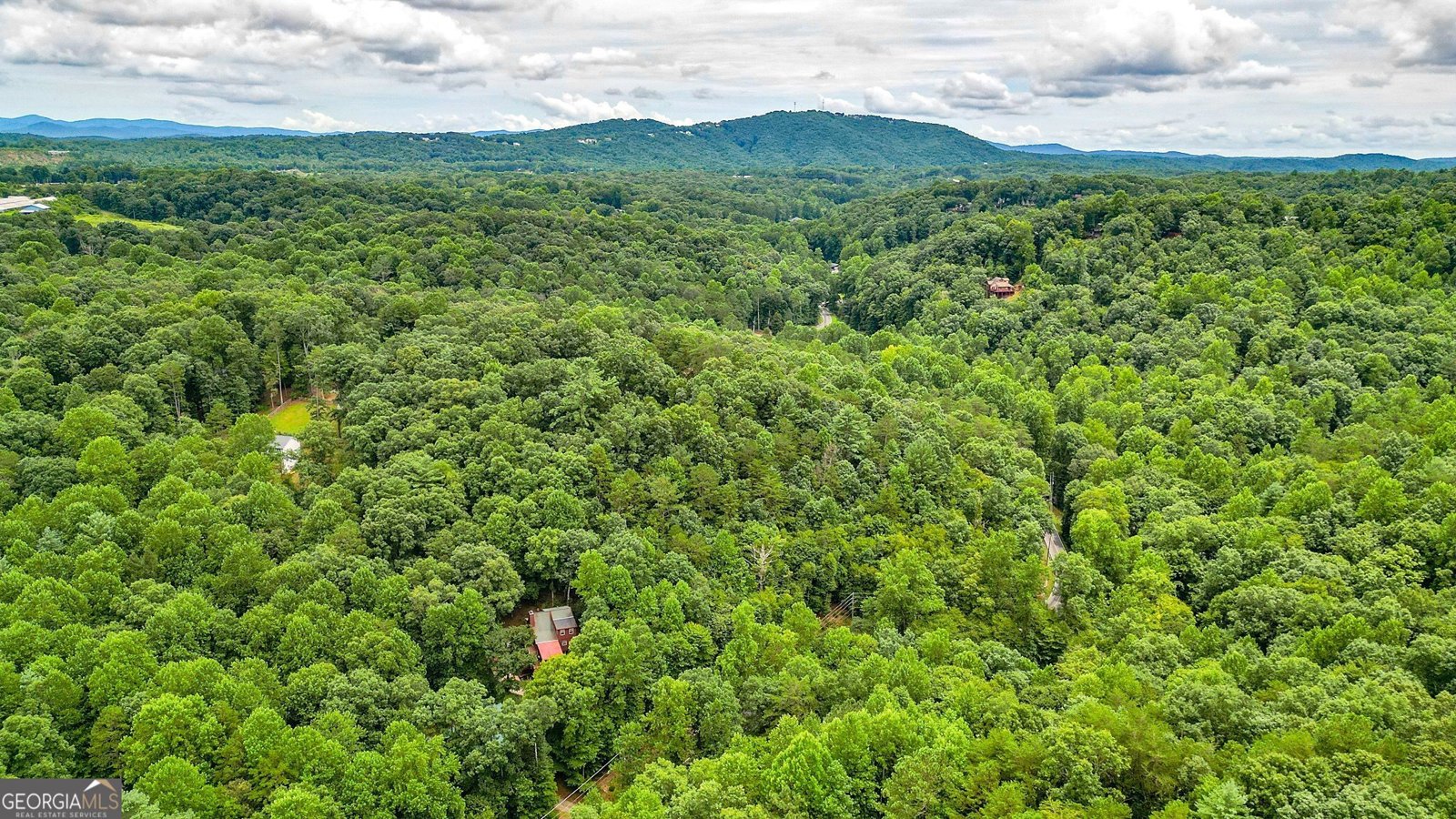1122 Beaver Lake Drive Ellijay - 45