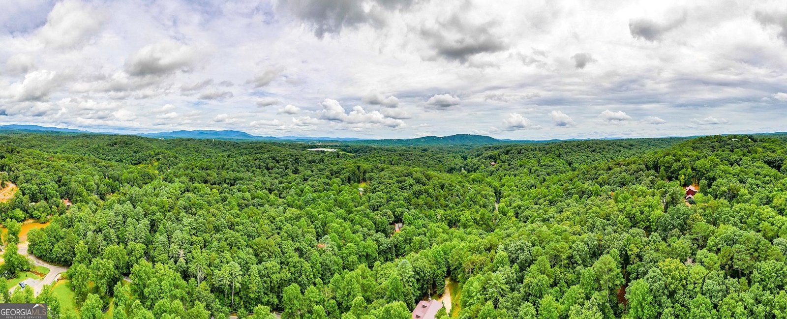 1122 Beaver Lake Drive Ellijay - 46