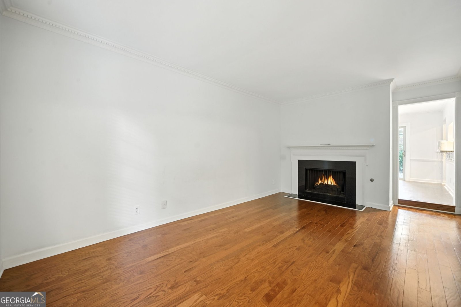 1460 Leafmore Place Decatur - 5