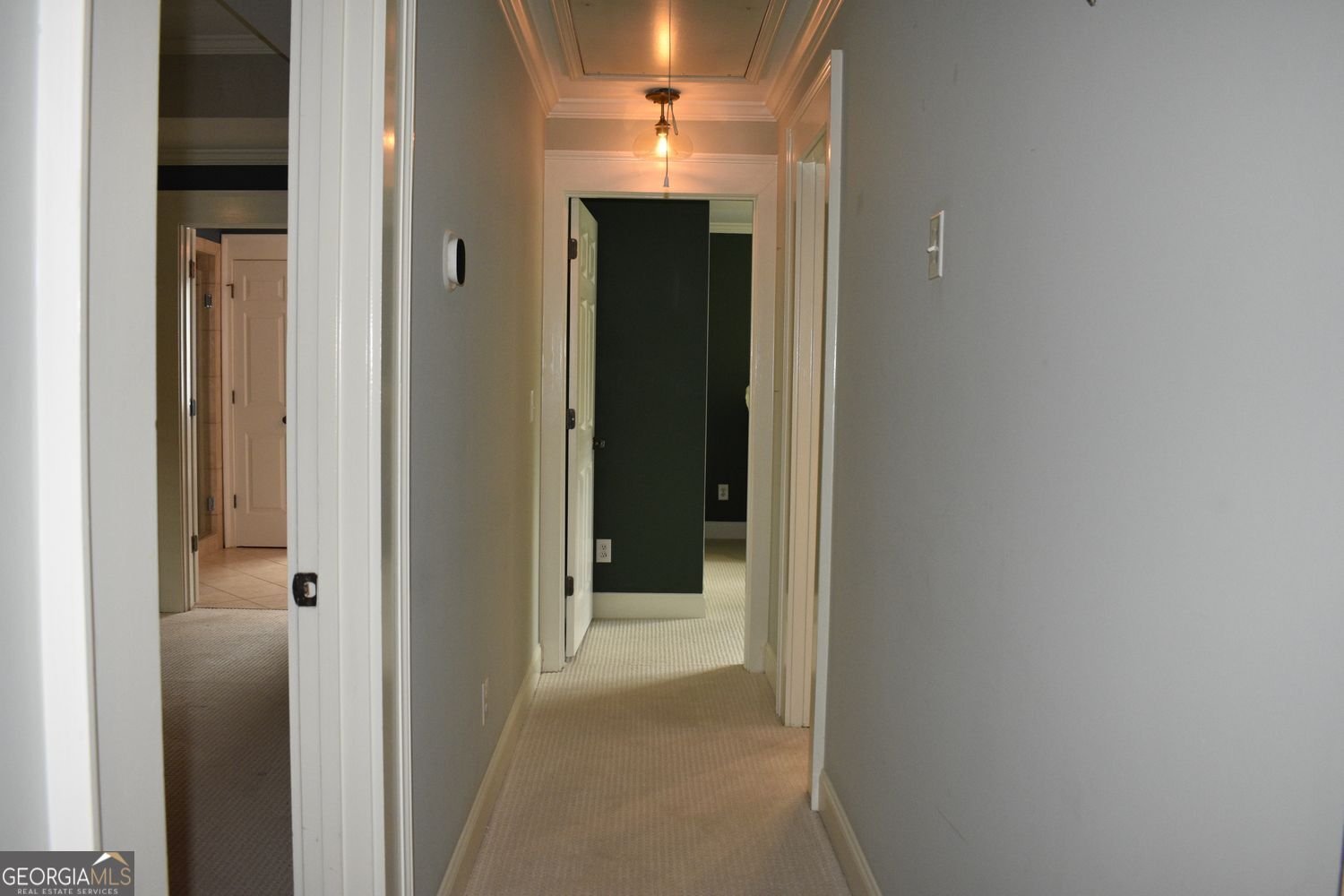 2009 Delphine Drive Decatur - 28
