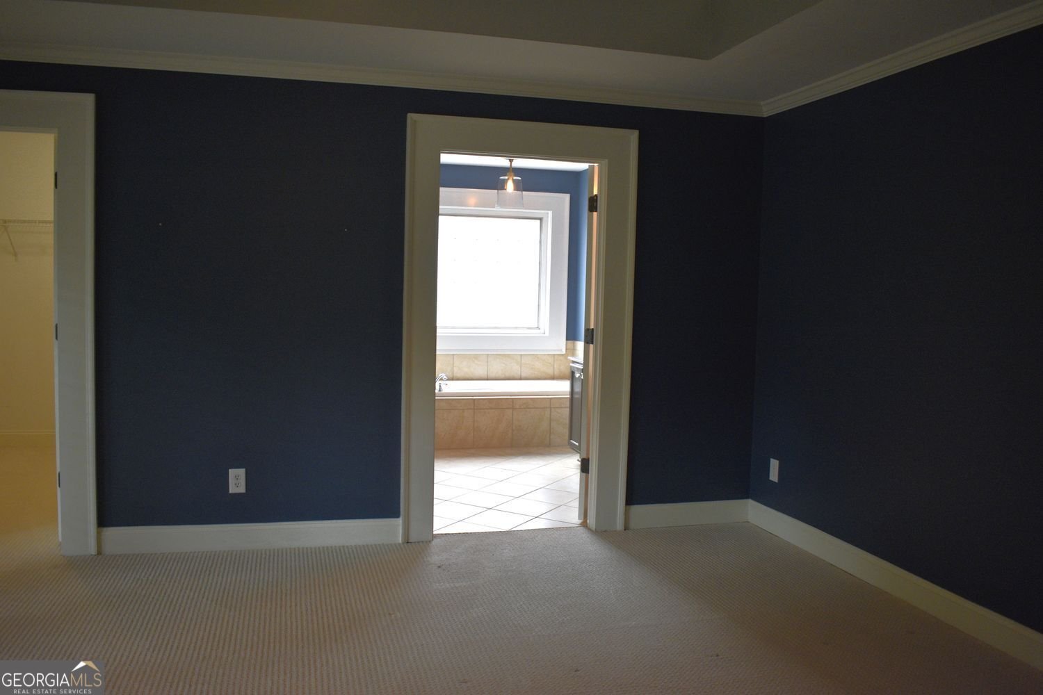 2009 Delphine Drive Decatur - 43