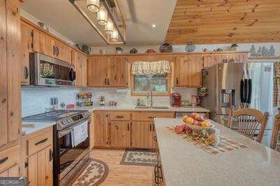 542 Raccoon Ridge Murphy - 13