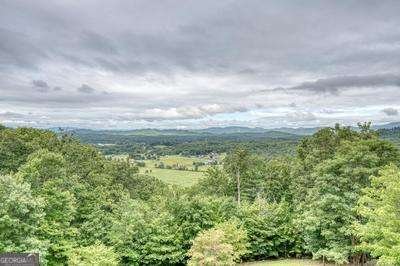 542 Raccoon Ridge Murphy - 39