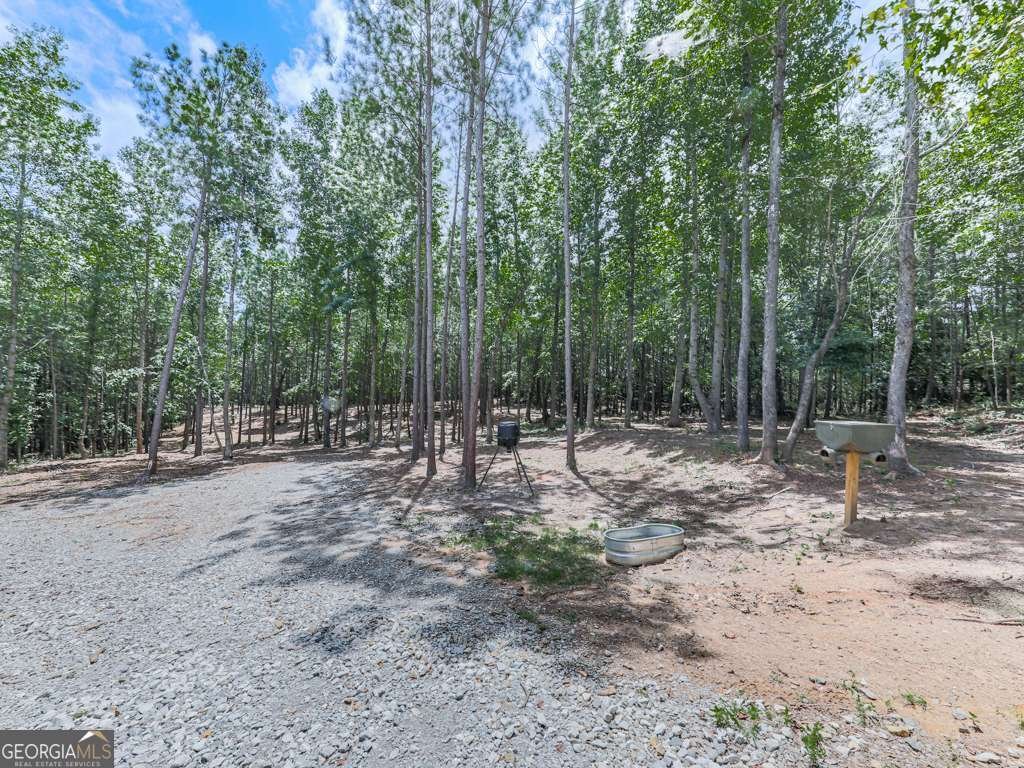 1543 Camp Dobbs Road Jasper - 57