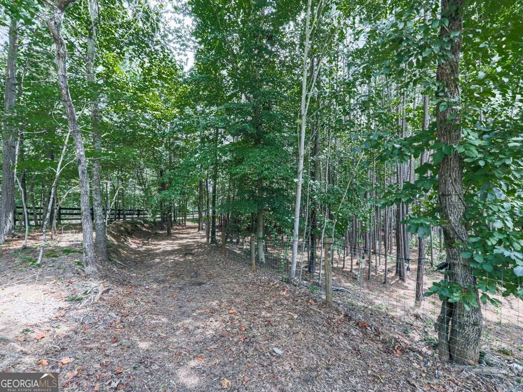 1543 Camp Dobbs Road Jasper - 8
