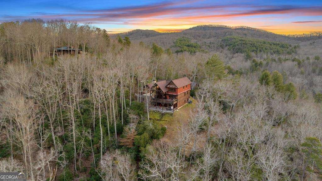 2085 Briar Cove Road Morganton - 10