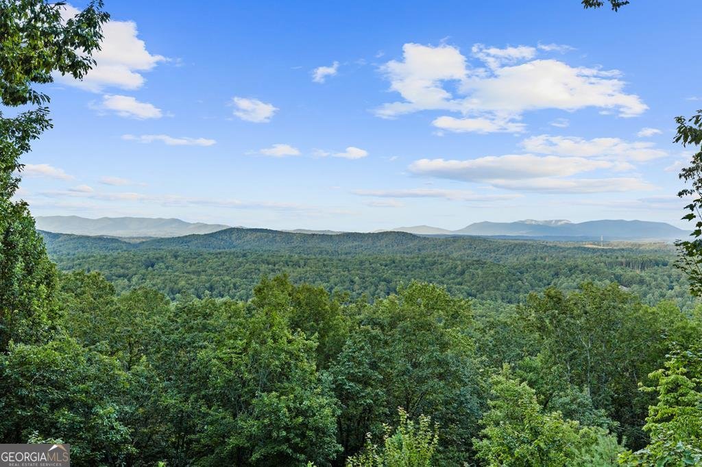 750 Morton Drive Ellijay - 29