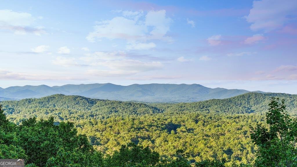 750 Morton Drive Ellijay - 34