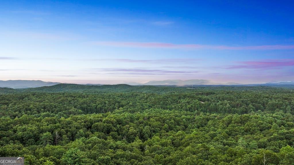 750 Morton Drive Ellijay - 39