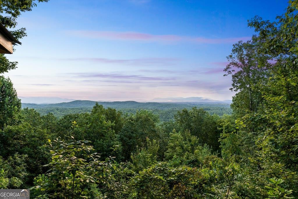 750 Morton Drive Ellijay - 41