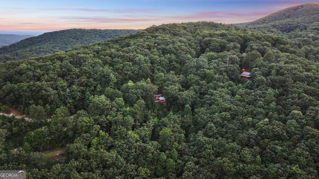 750 Morton Drive Ellijay - 42