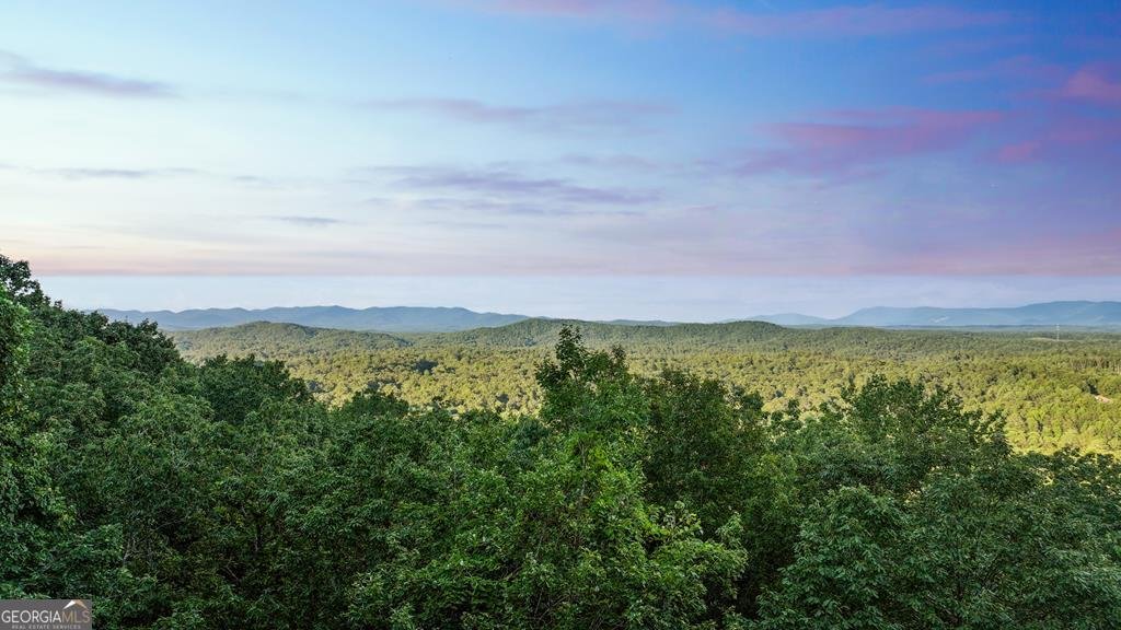750 Morton Drive Ellijay - 44