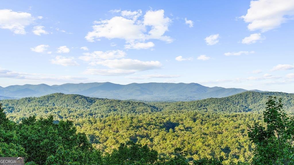 750 Morton Drive Ellijay - 45