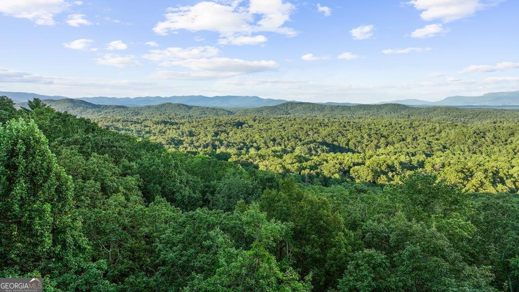 750 Morton Drive Ellijay - 6