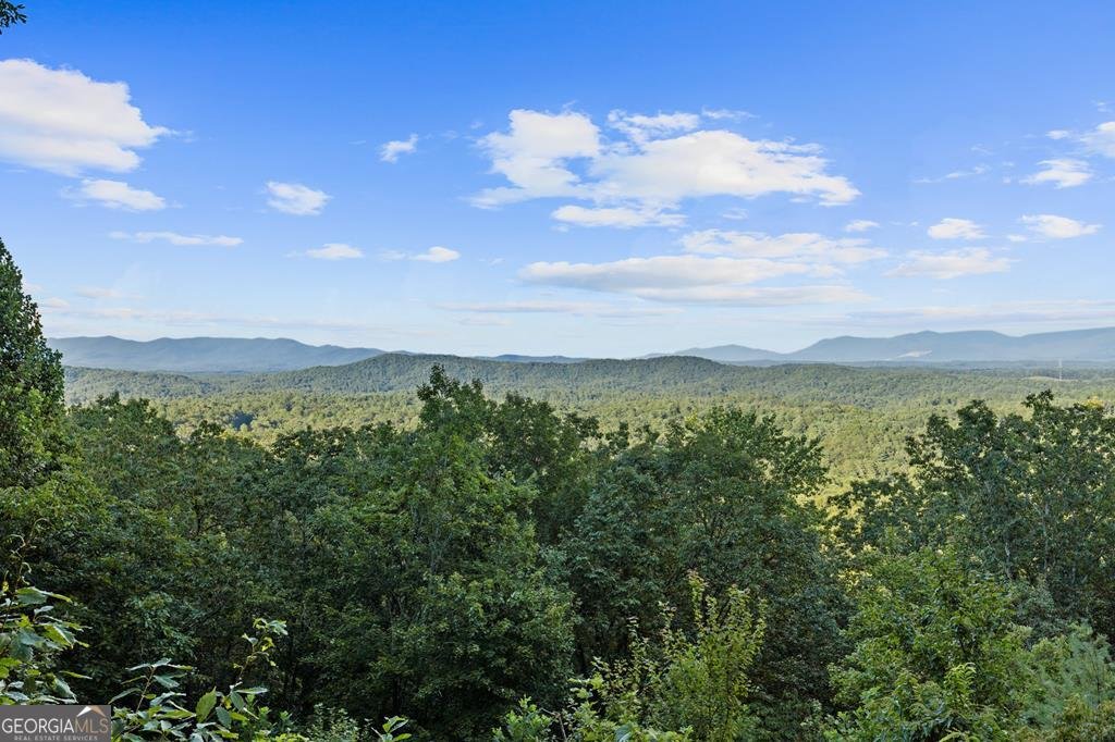 750 Morton Drive Ellijay - 9