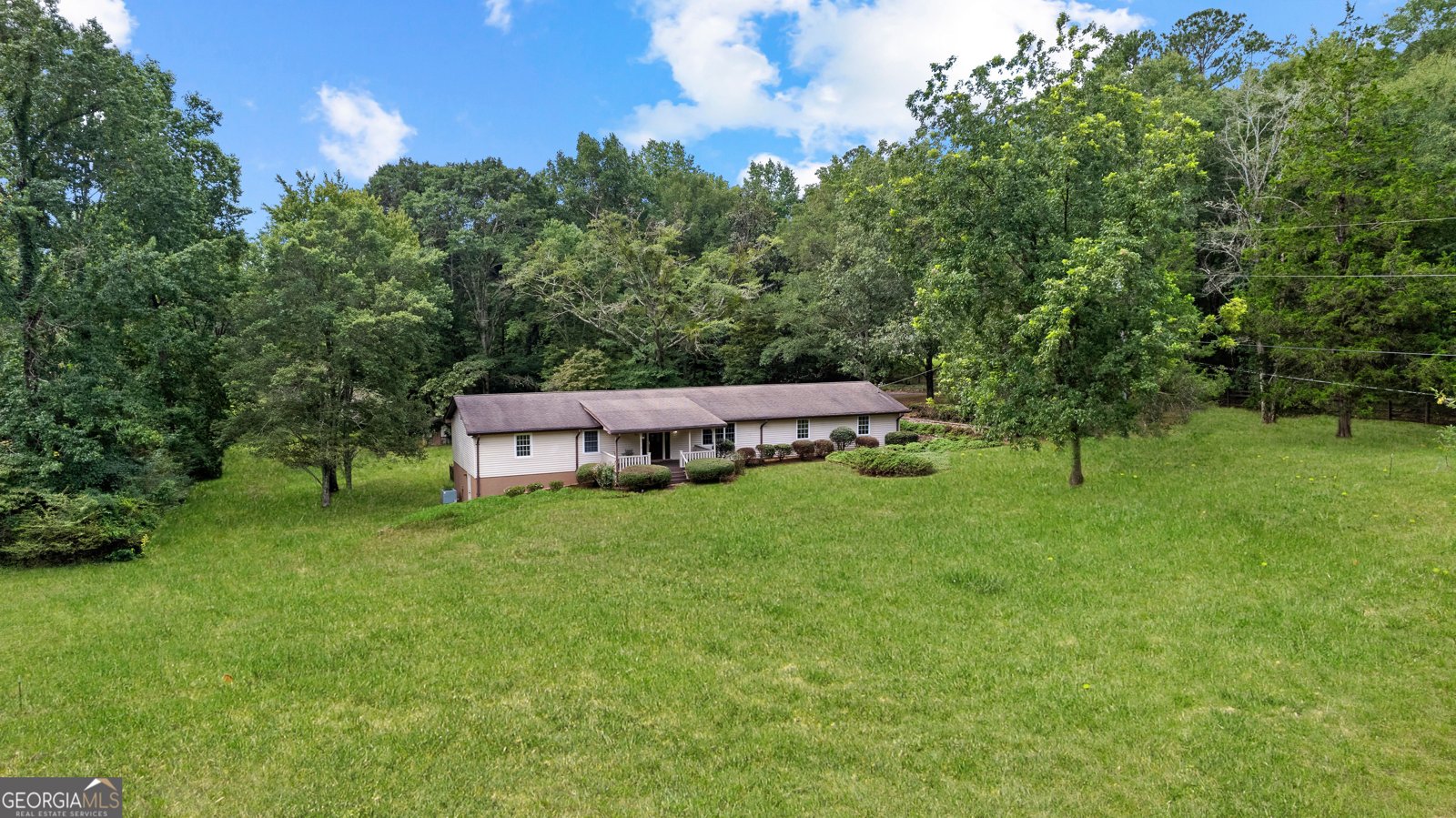 11800 Hutcheson Ferry Road Chattahoochee Hills - 6