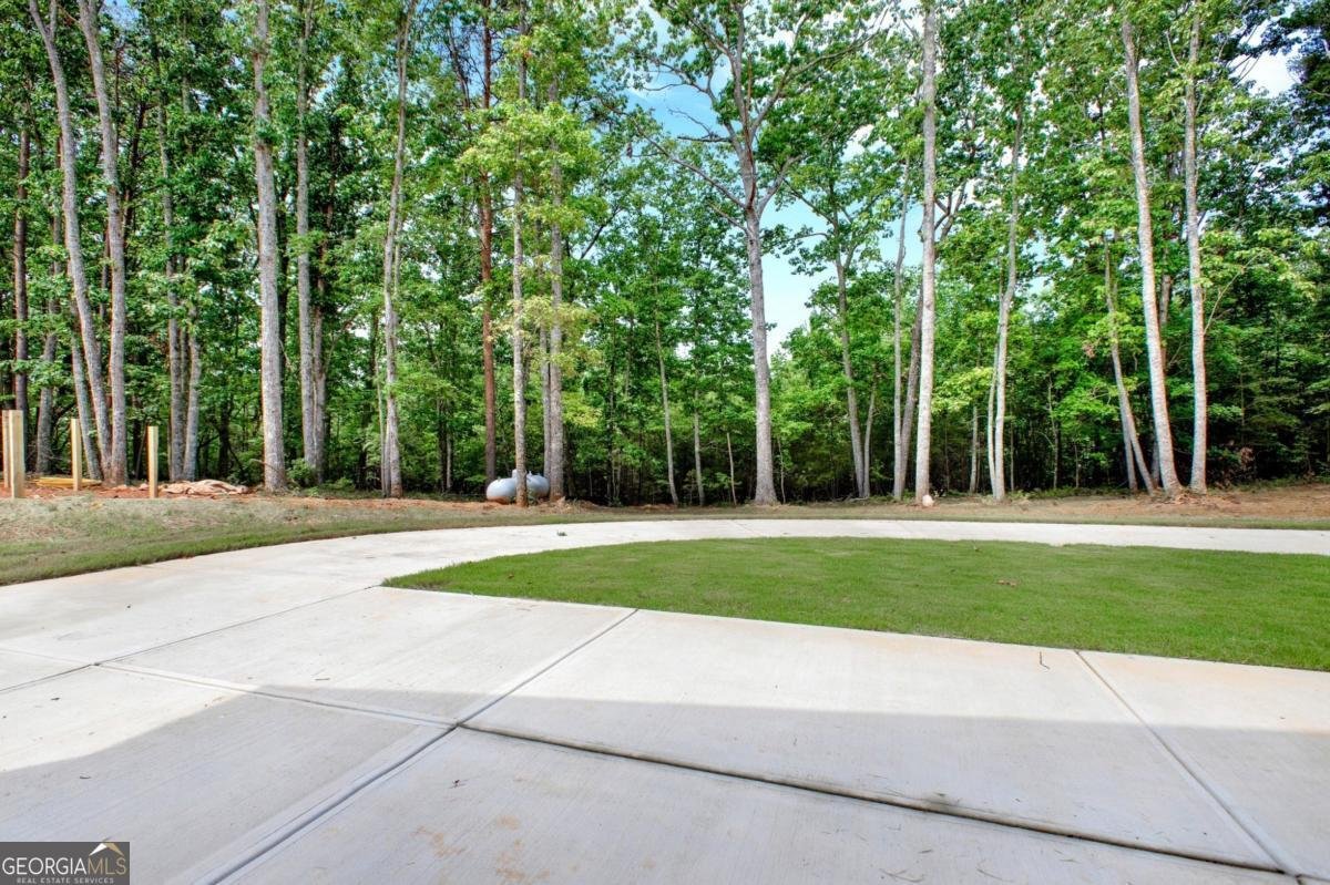 569 Byrd Mountain Lane Canton - 28