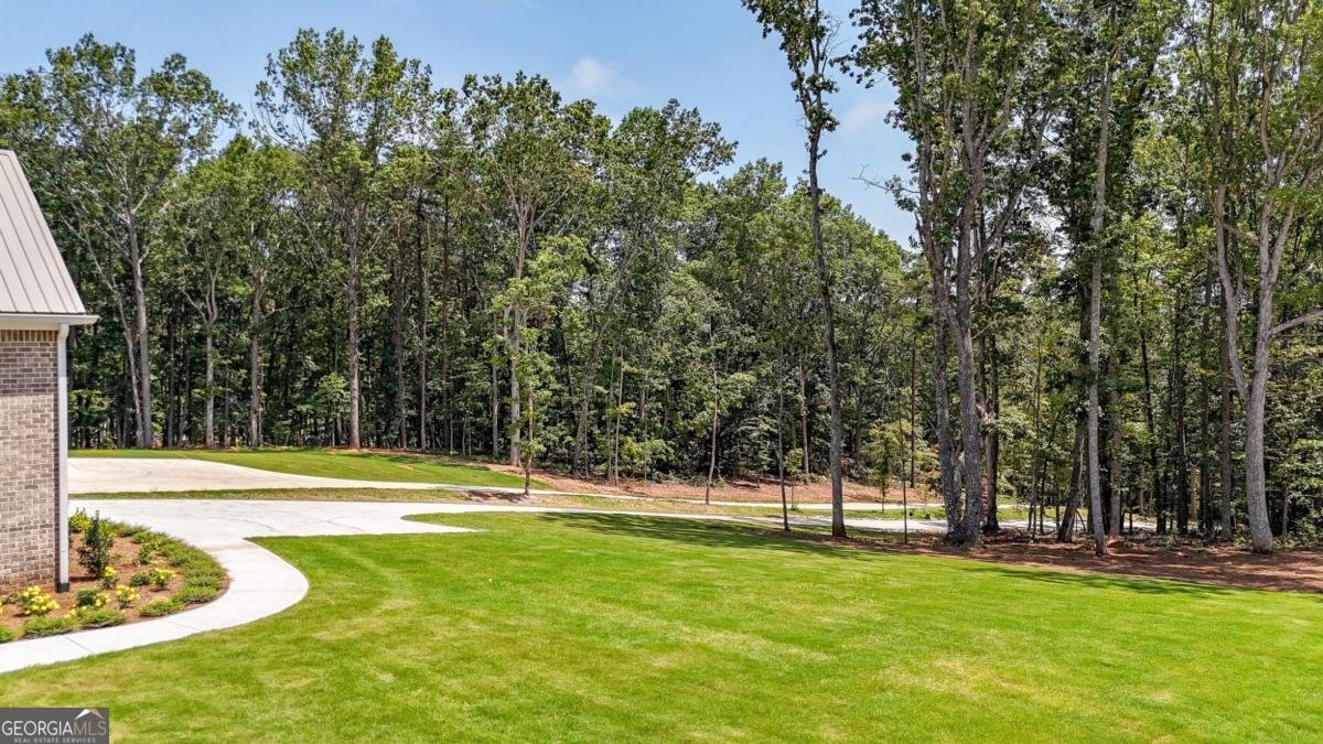 569 Byrd Mountain Lane Canton - 31
