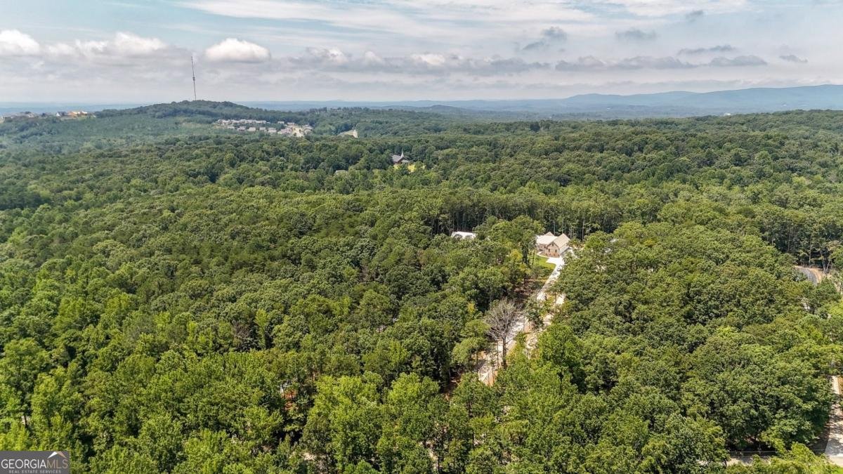 569 Byrd Mountain Lane Canton - 42