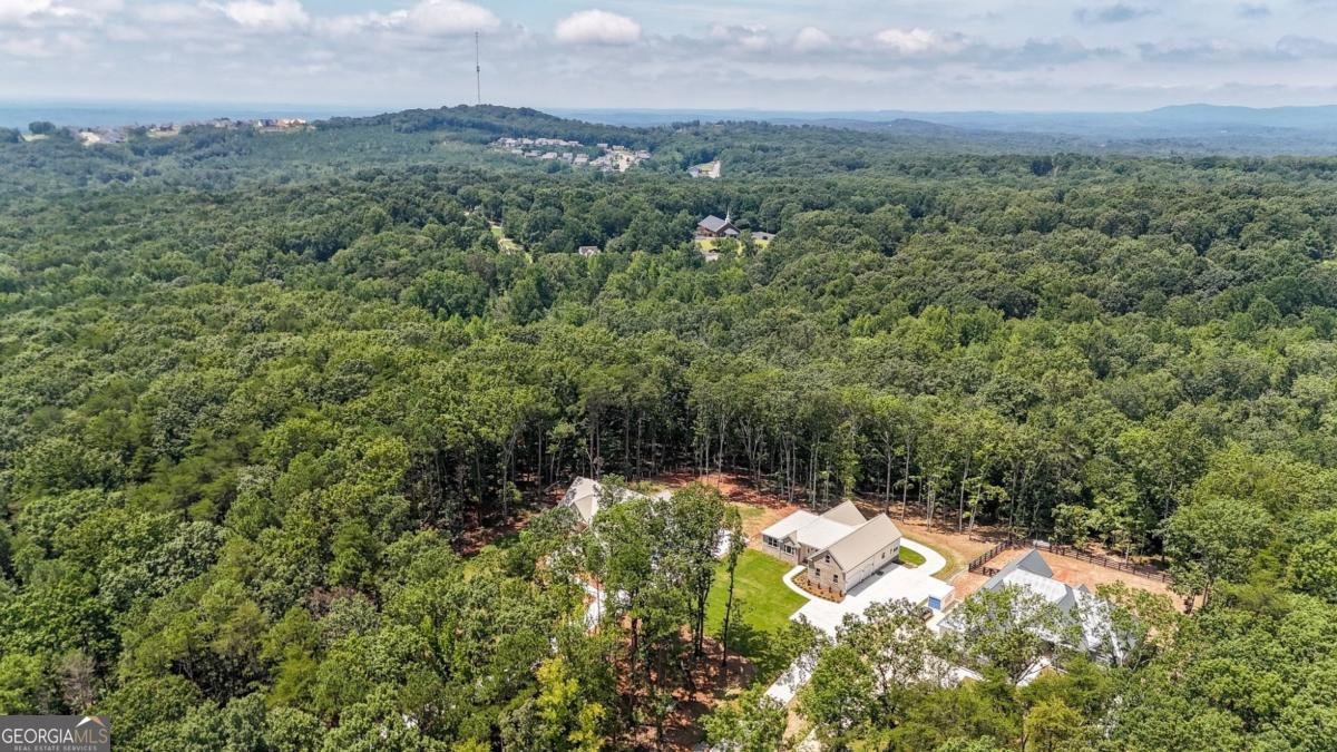 569 Byrd Mountain Lane Canton - 79