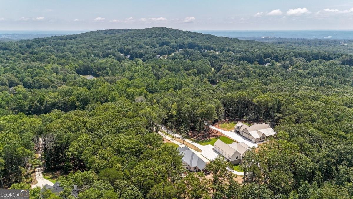 569 Byrd Mountain Lane Canton - 80