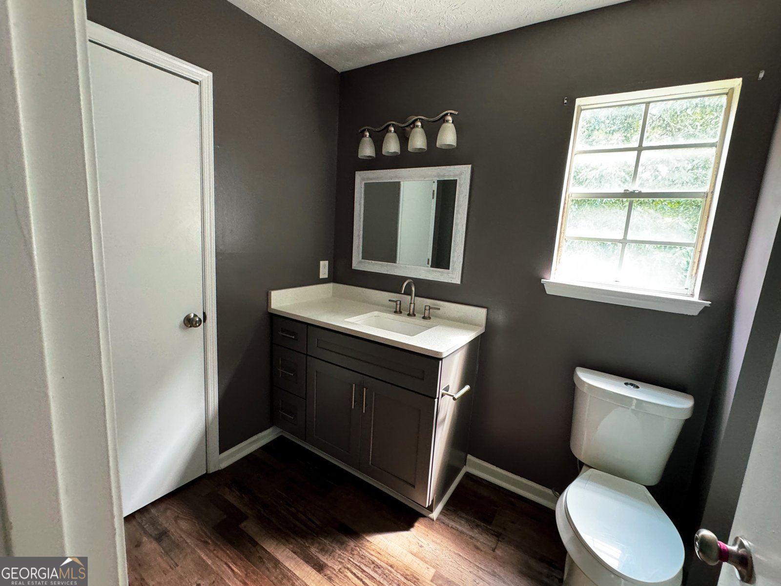 3447 River Mill Lane Ellenwood - 10