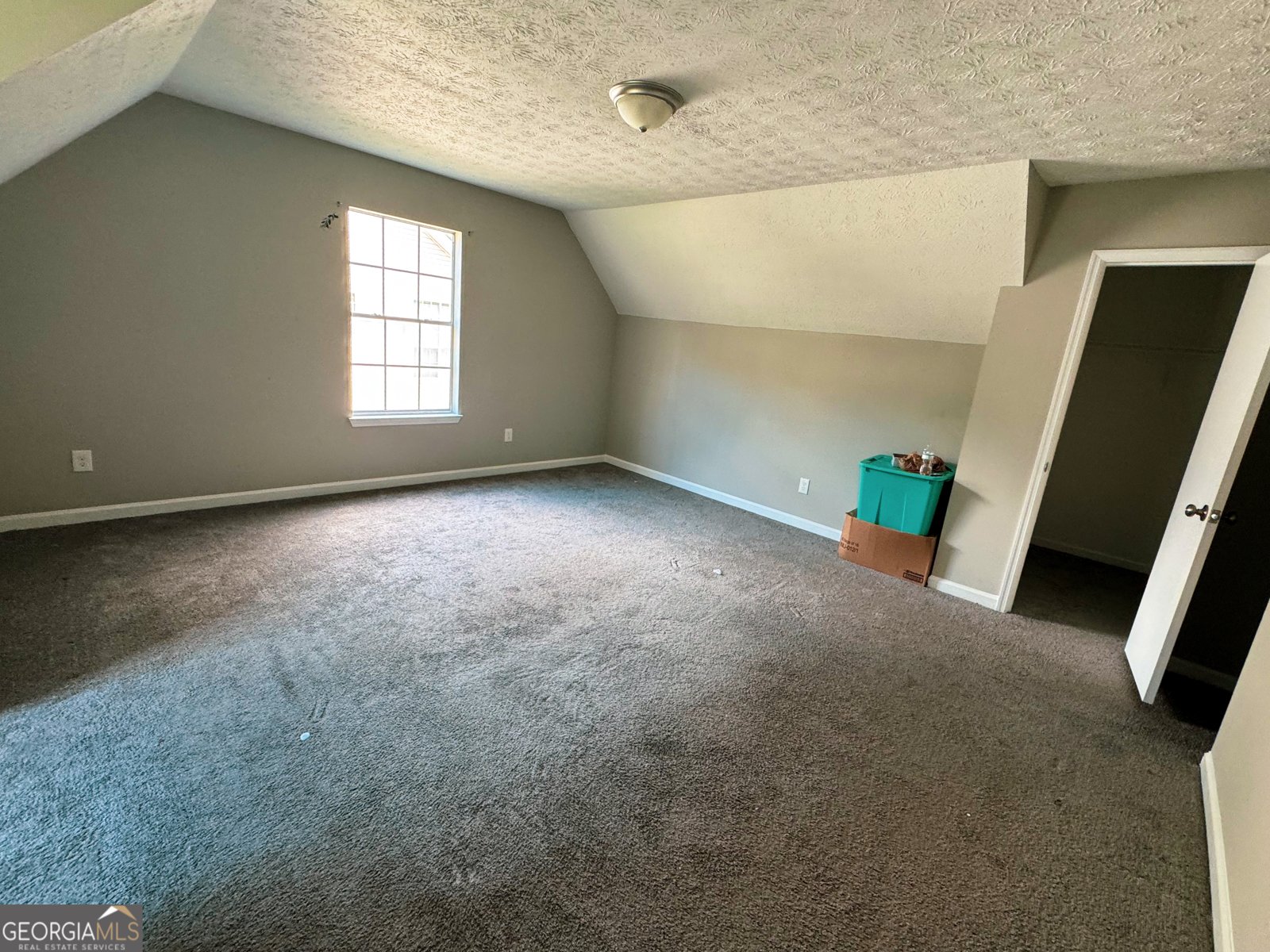 3447 River Mill Lane Ellenwood - 14