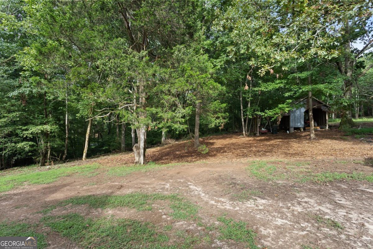 372 Pat Rich Drive Canton - 25