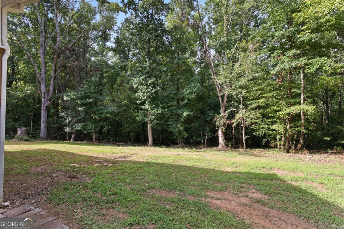 372 Pat Rich Drive Canton - 26
