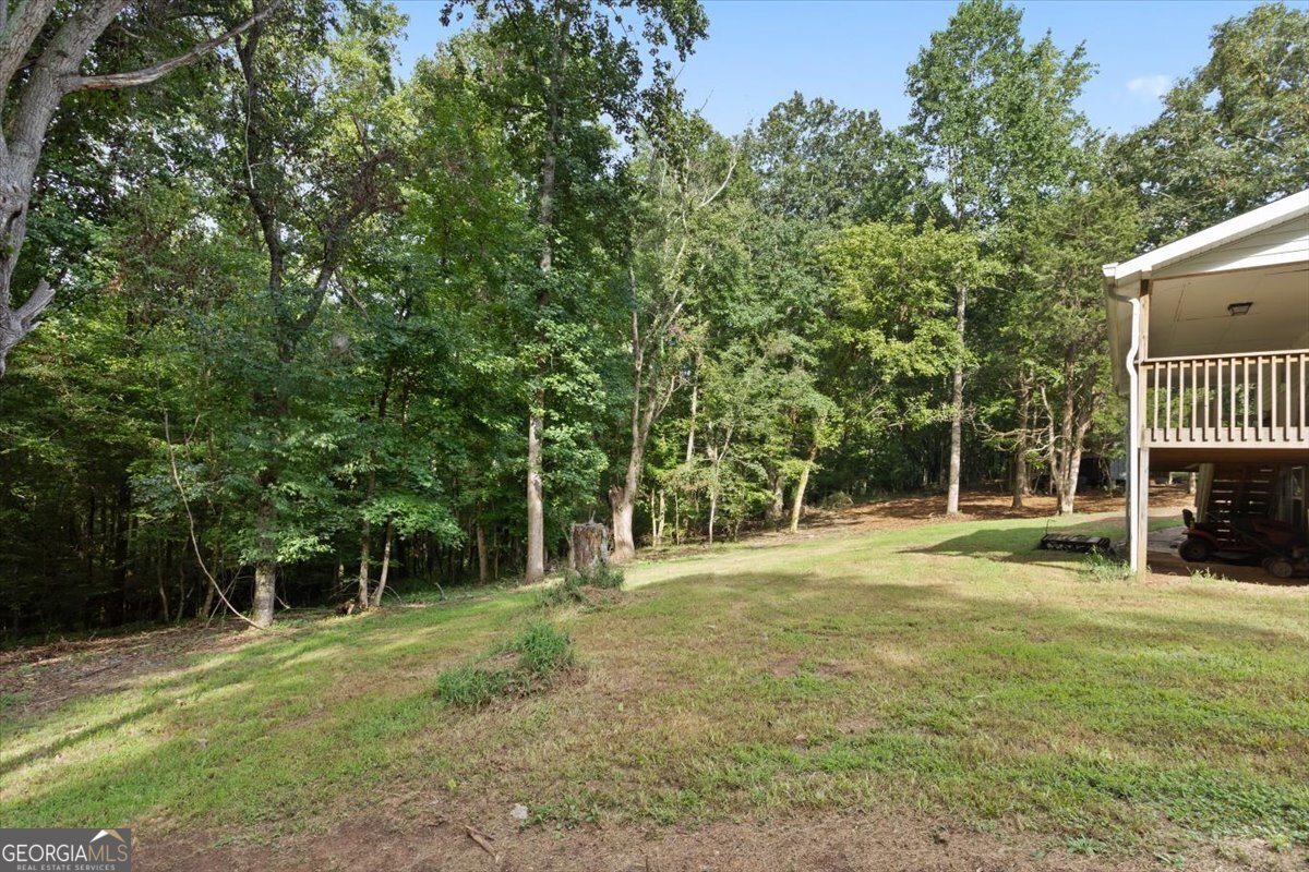 372 Pat Rich Drive Canton - 27