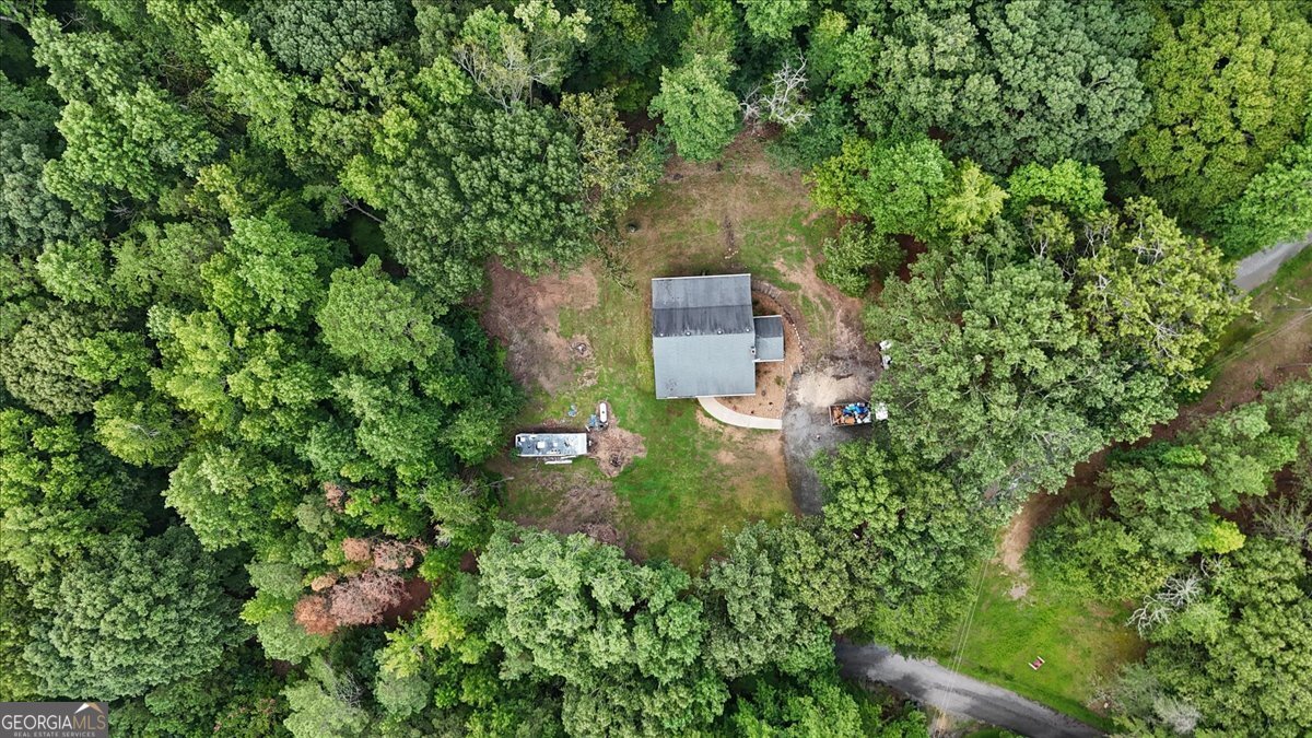 372 Pat Rich Drive Canton - 30