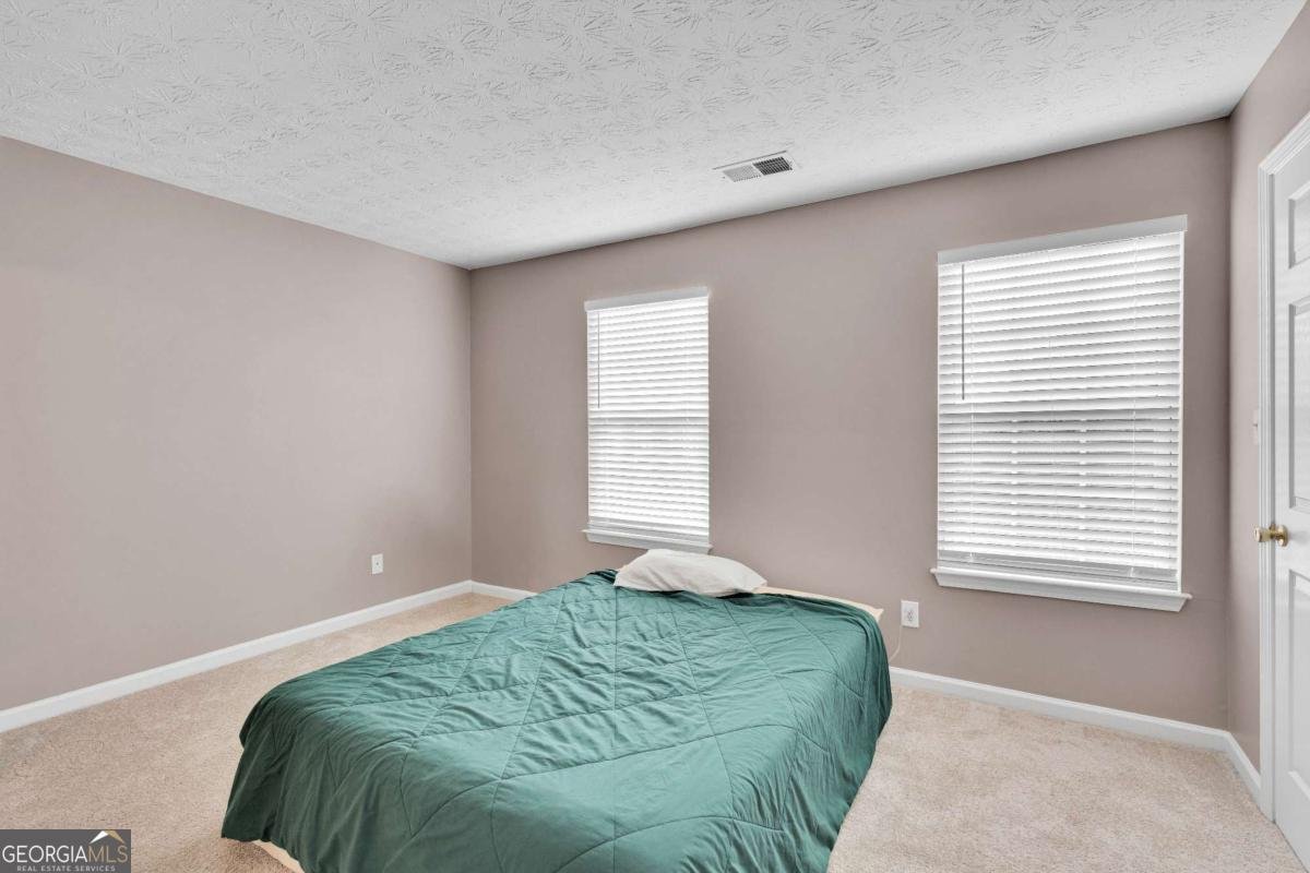 4005 Spring Cove Drive Duluth - 22