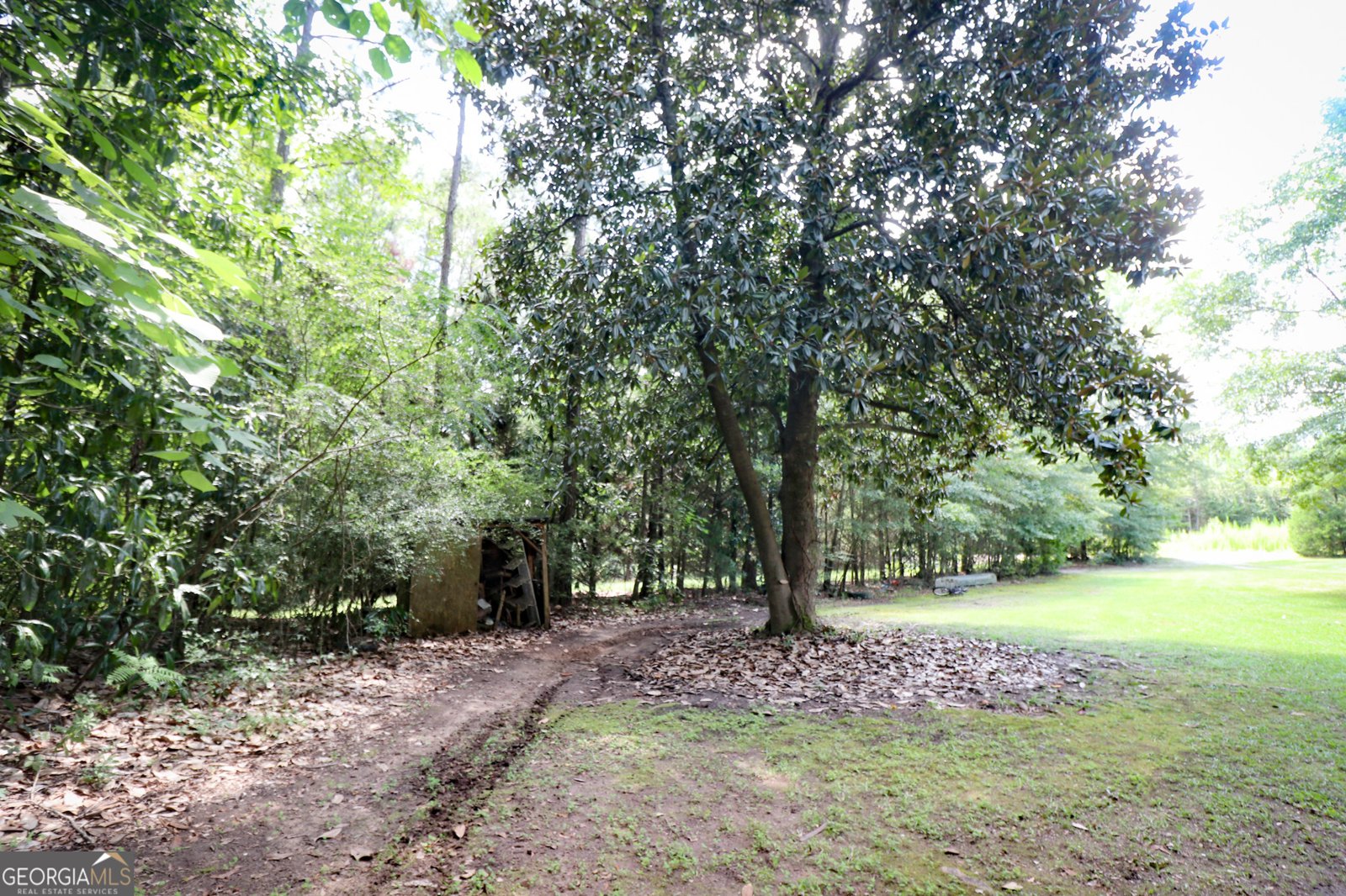 467 Bankston Road Meansville - 39