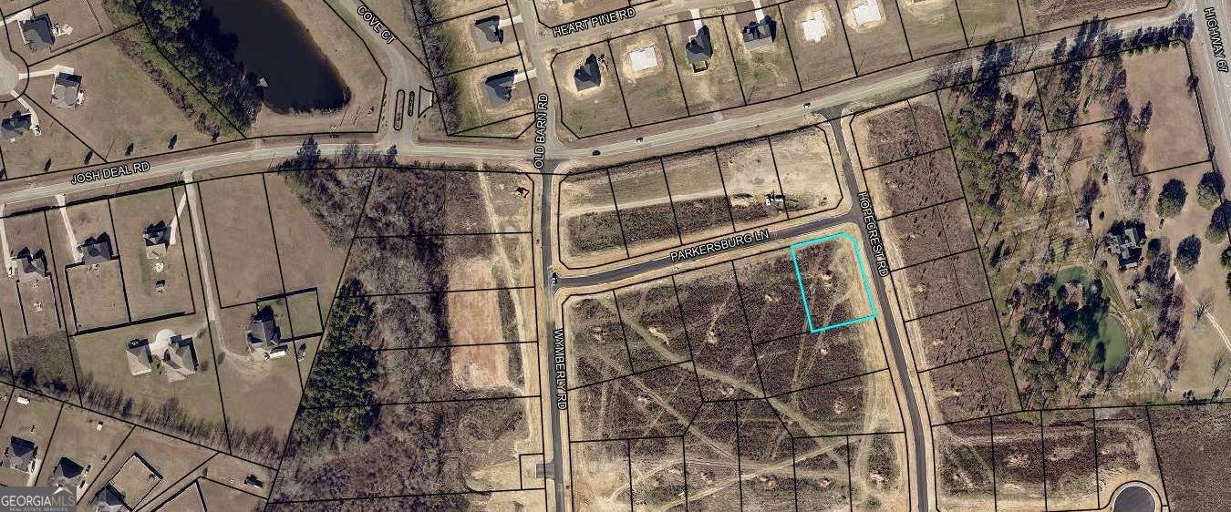 310 Parkersburg Lane Statesboro - 19