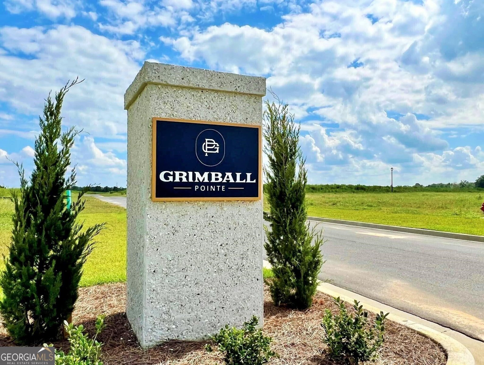 310 Parkersburg Lane Statesboro - 20