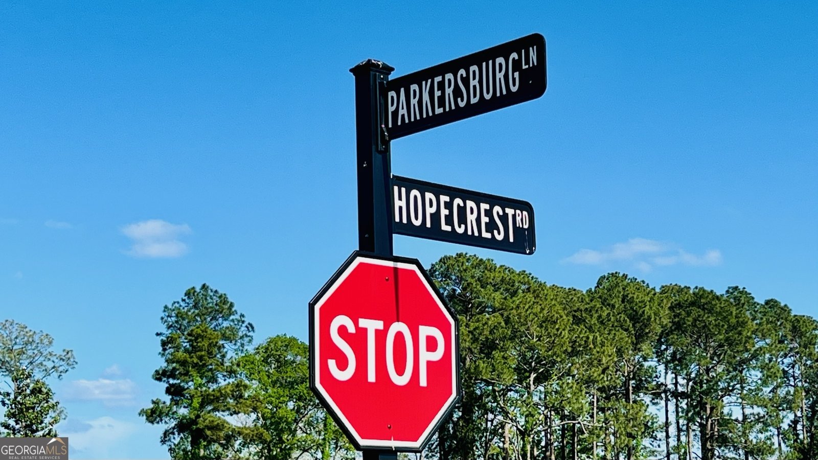 310 Parkersburg Lane Statesboro - 3
