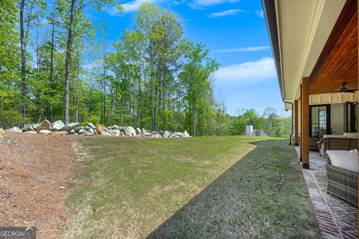 247 Terrace View Drive Acworth - 10