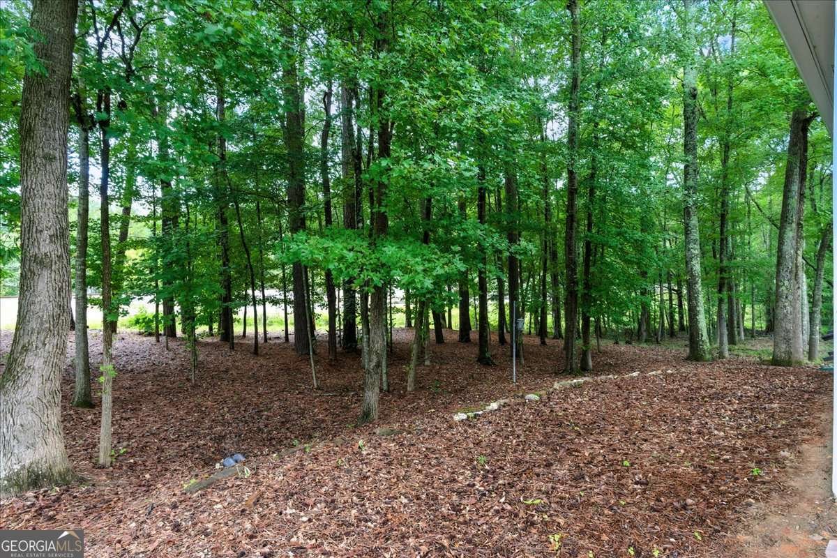 3637 Spring Beauty Court Powder Springs - 37