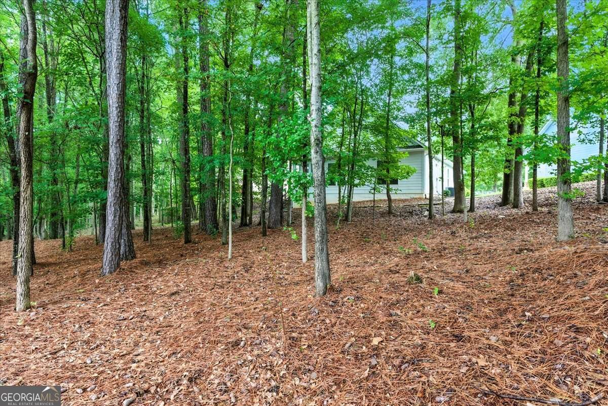 3637 Spring Beauty Court Powder Springs - 38