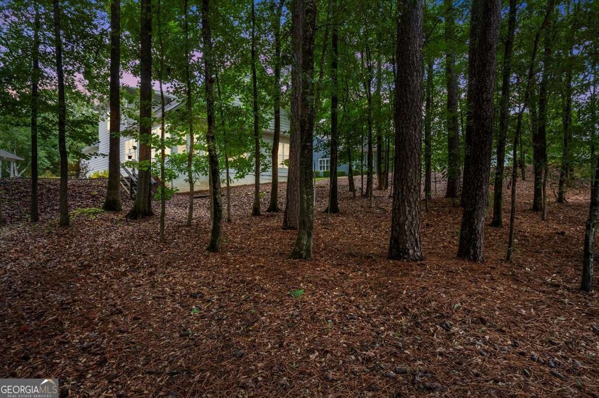 3637 Spring Beauty Court Powder Springs - 39