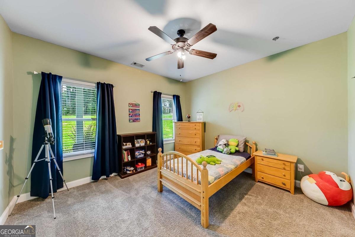235 Mountain Creek Drive Pendergrass - 29