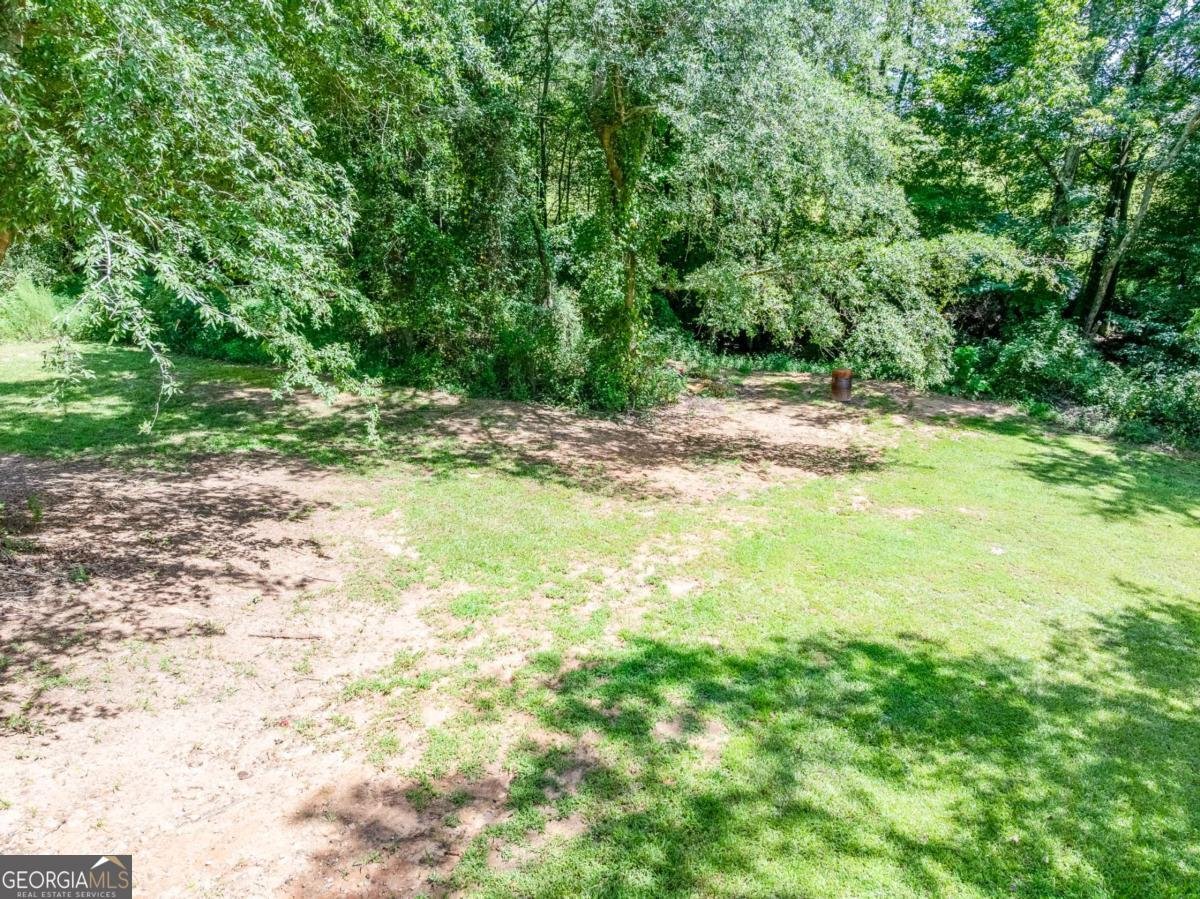 235 Mountain Creek Drive Pendergrass - 42
